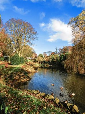 burslempark's tweet photo. https://t.co/D1BCajVMBD