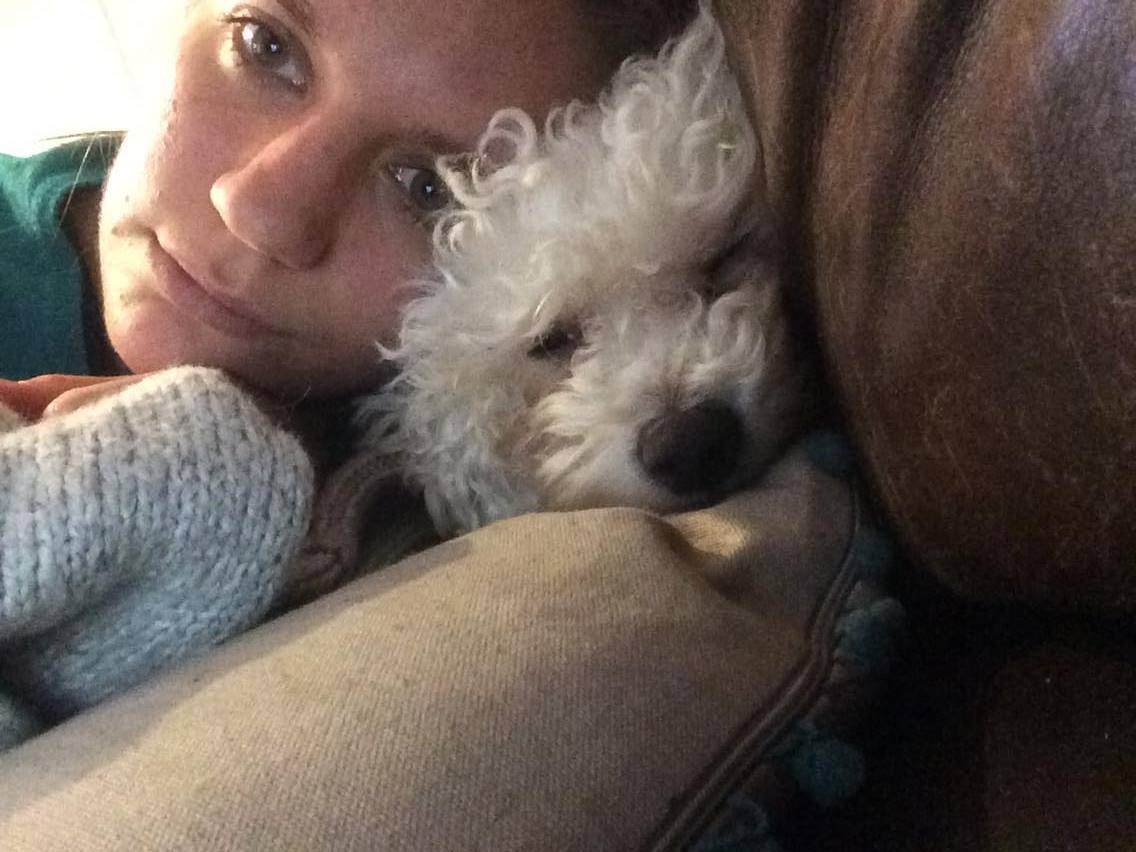 Class A Pet Care tweet media