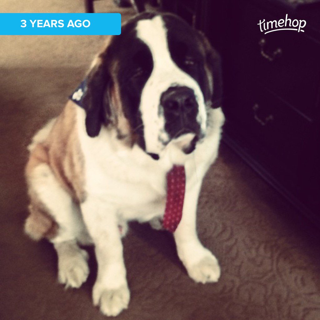 saintfreckles's tweet photo. I remember this...#timehop #DressUp https://t.co/LUQLtsyDcj