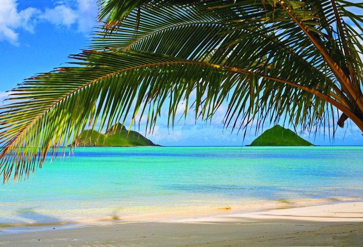 WfallEvents's tweet image. We've been Googling 'Hawaiian Beach.' Unfortunately for us we're exploring ideas for a 40th party and not a holiday!