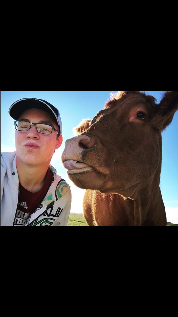 Everyone needs someone to talk to #BellLetsTalk