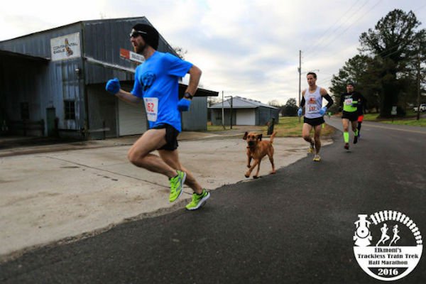 Bloodhound completes half marathon without owner realizing. Comes in 7th! reshareworthy.com/ludivine-the-b…