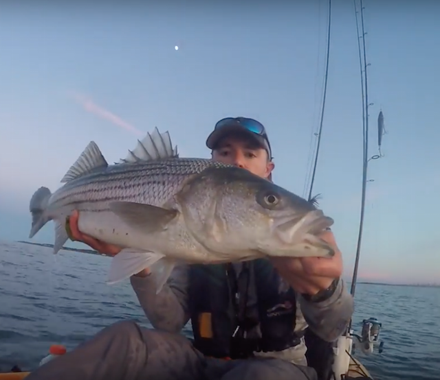 VIDEO: Striper Summer. Who else misses long days full of bass and blues? ow.ly/XAXDX <a href="/WhyKnotFishing/">Why Knot Fishing</a>