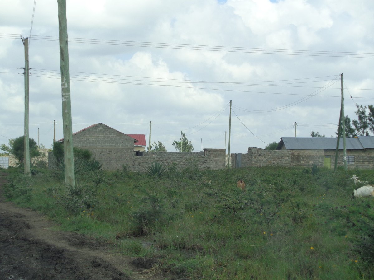 sheltaltd's tweet image. #iHubJumpstart The worst enemy to success is self-doubt