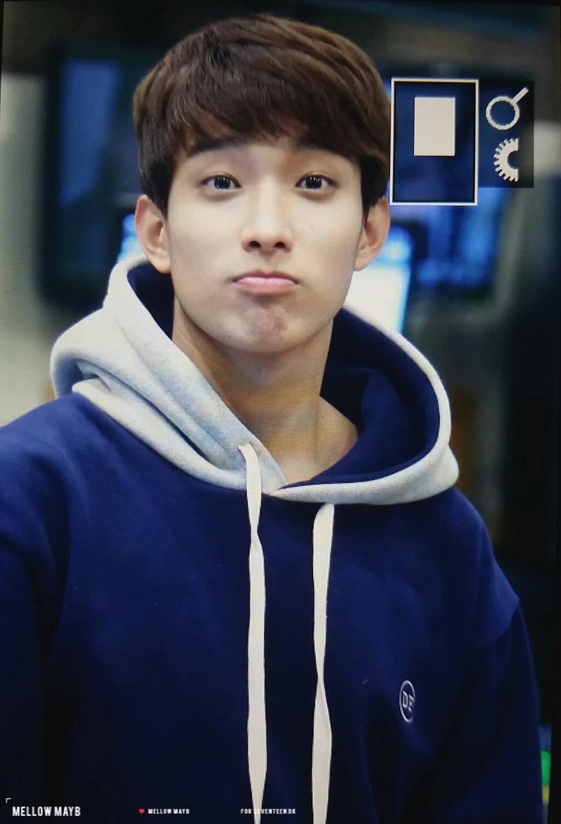 디폴드 정품/ 세븐틴 도겸 후드 새상품팔아요! | 인스티즈