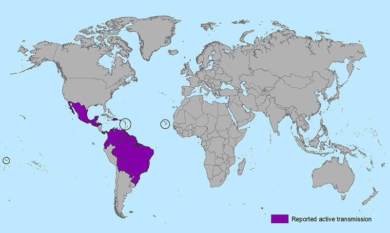 No local #Zika transmission in continental US. See current travel notices: 1.usa.gov/1Qq5Iow for latest info.