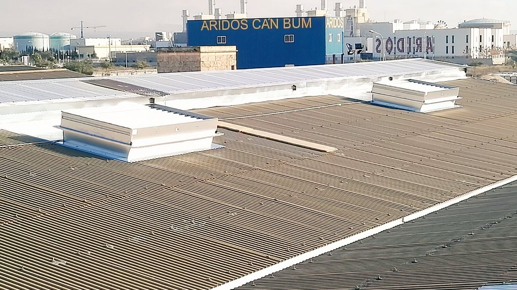 Mimi Abellan Trilla tweet media