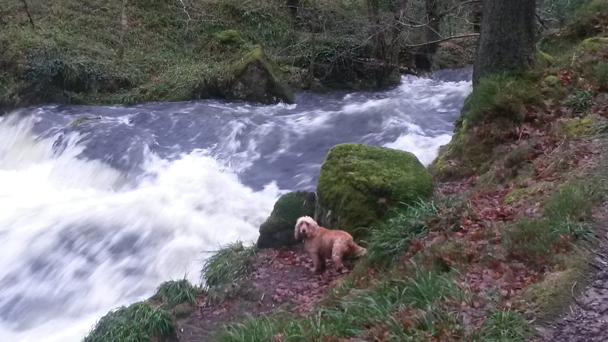 Its_a_Bess_Life's tweet photo. Does anyone have a kayak for rent? #adrenalinejunkie #waterbaby https://t.co/EPImUQ4geD