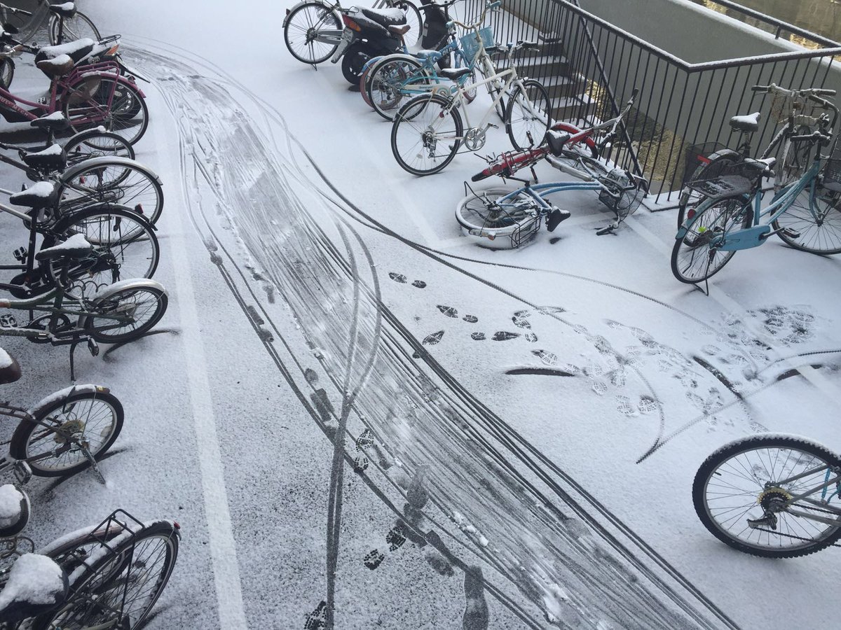 Snowing over the Nagoya.