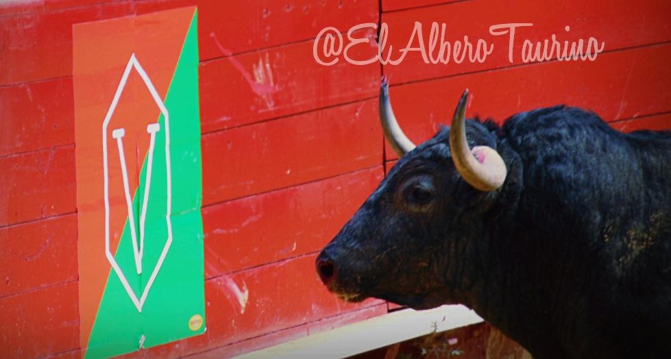 El Albero Taurino tweet media