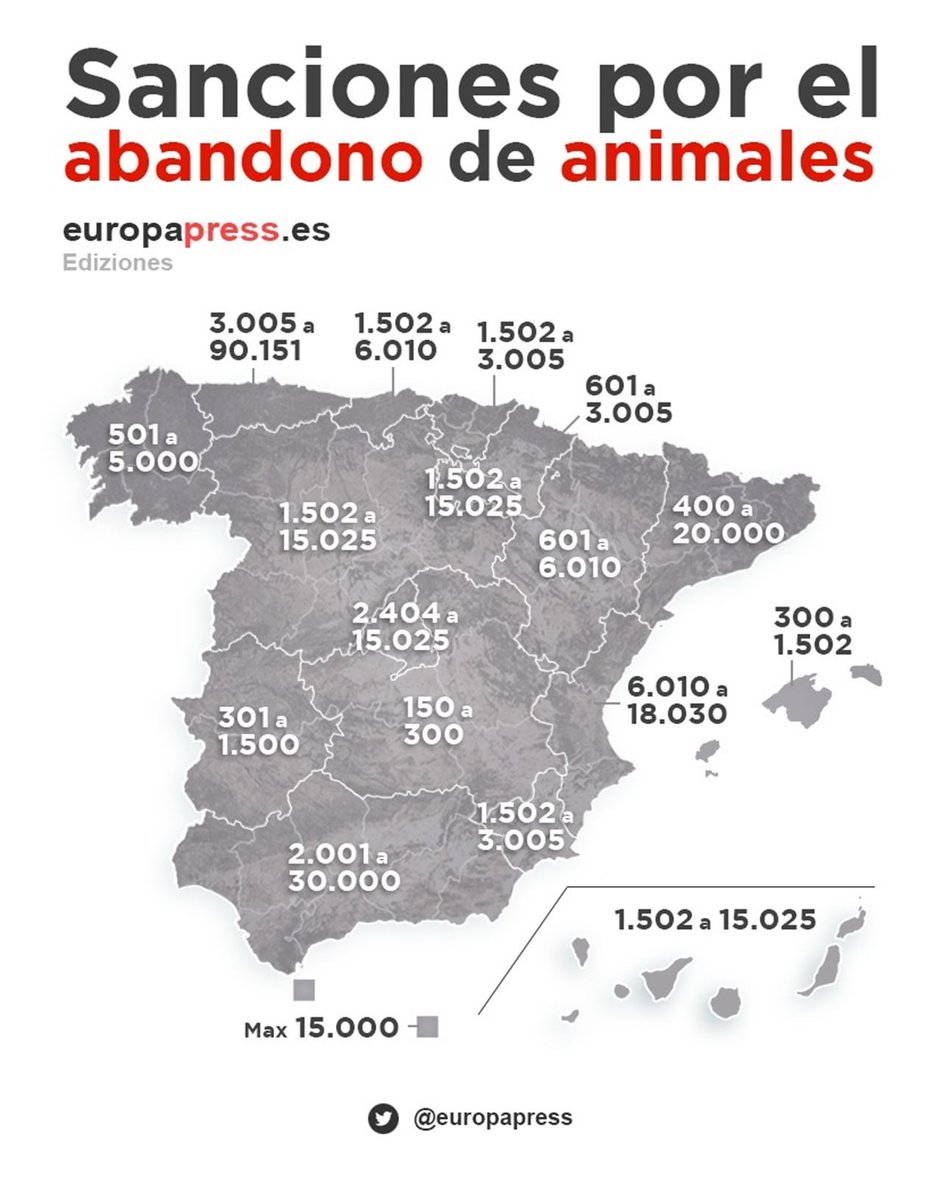 europapress's tweet photo. ¿Dónde puedo adoptar a una mascota y cuáles son las multas por abandono de animales? https://t.co/bTPOr7l2b4 https://t.co/JMIMWPda3J