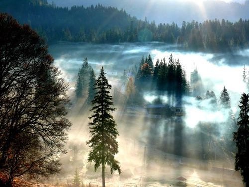 worldbestplac's tweet image. Winter in Transylvania, Romania 😍❄️