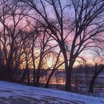 Photo by U of M Men's Rowing (@MinnesotaCrew)