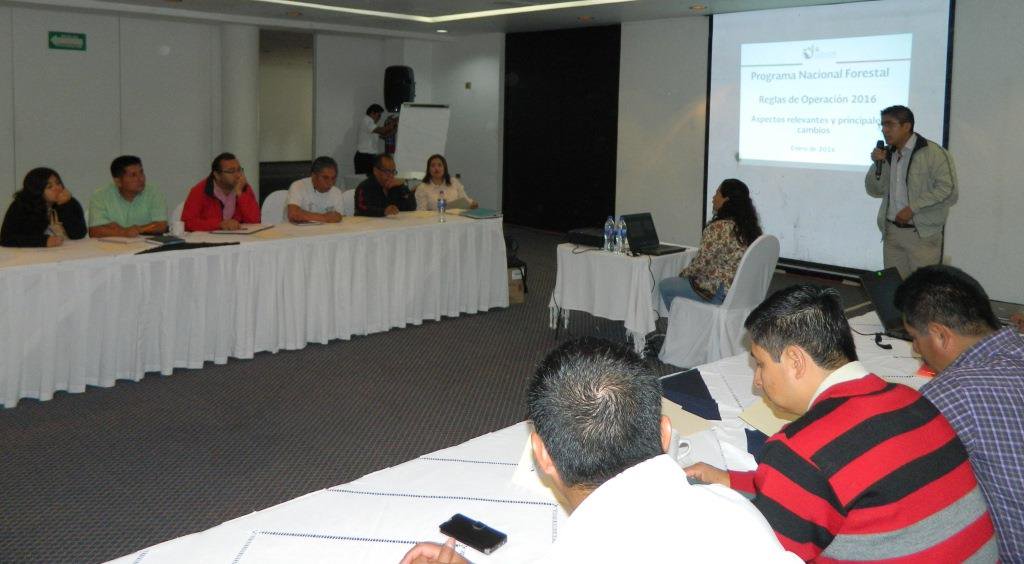 CONAFOR's tweet photo. Comunidades en #Oaxaca se informan de los apoyos d cultivo forestal caminos, certificación y otros del #PRONAFOR2016 https://t.co/qoOjfqYbel