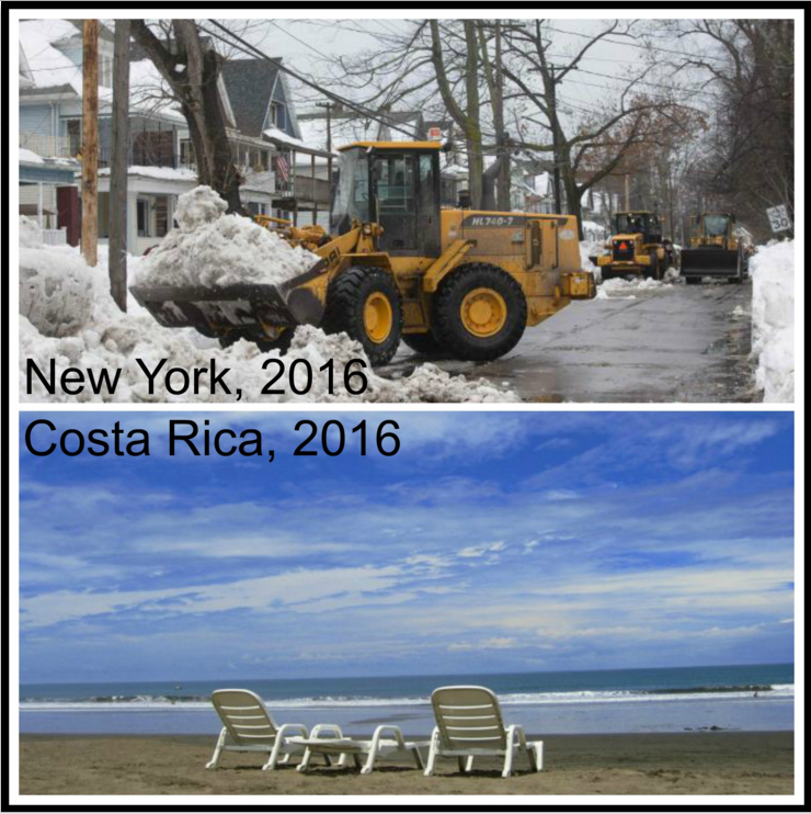 gvcostarica's tweet photo. Tired of bad #weather? Welcome to #CostaRica! (NY snow by https://t.co/RNIEIwplyj)
by #javithefrog https://t.co/bqtLyCLQoT