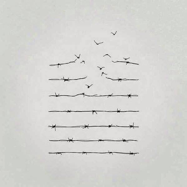 MisterItalia's tweet photo. PER NON DIMENTICARE trovo bellissima quest'immagine #pernondimenticare #olocausto #olocaust #auschwitz #buchenwald https://t.co/kYuz6CcwFV