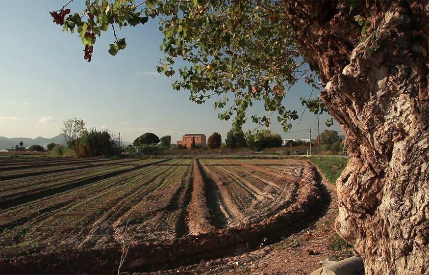 OrgulldeBaix's tweet photo. contrastos del Baix Llobregat #OrgulldeBaix #baixllobregatadebat https://t.co/MbiuuFsioh