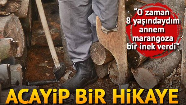 Hurriyet's tweet photo. "O zaman 8 yaşındaydım, annem marangoza bir inek verdi" https://t.co/r96G20qUgS https://t.co/gHxdmjOfj8