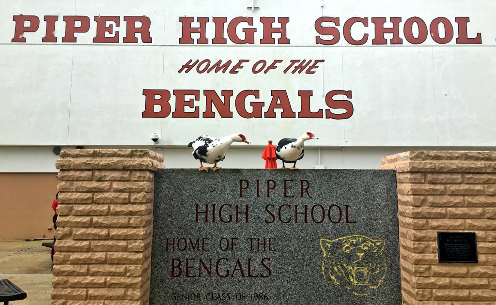 Mr. &amp; Mrs. Piper High School ???
