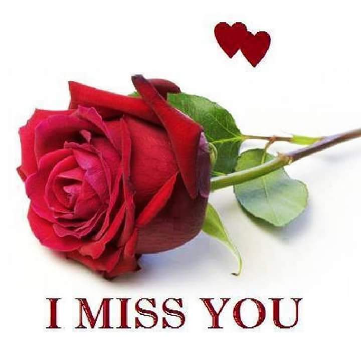 I had you a rose. I had you a rose. I had you a rose. I had you a rose. I miss you.