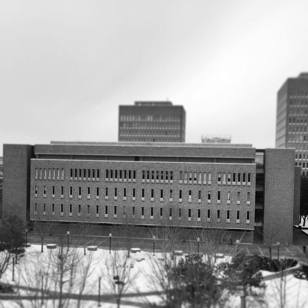 umnlib's tweet photo. Seriously...the sun has got to shine again one of theses days, right? #feelinggray #bw #jaโฆ https://t.co/WNYe5gzRdR https://t.co/fjRcP3qX4A