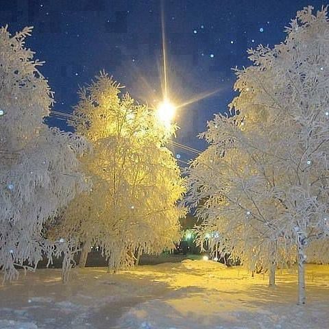 ThoughtsonJoy's tweet photo. Words for a Wednesday: Perspective on Winter https://t.co/MyT0iH4Ztu https://t.co/bLG2QuHvSy
