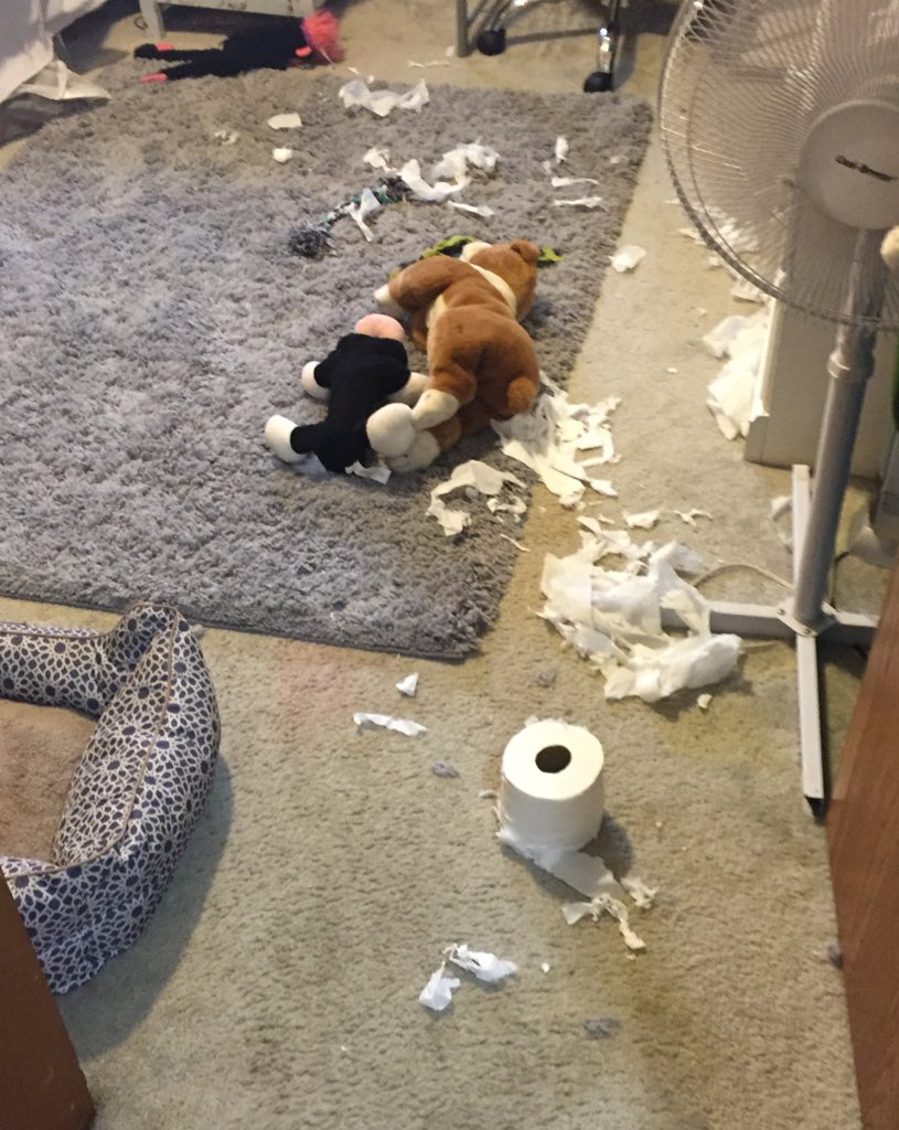 dskillman's tweet photo. I wonder who did this https://t.co/nIh0SDLnY1