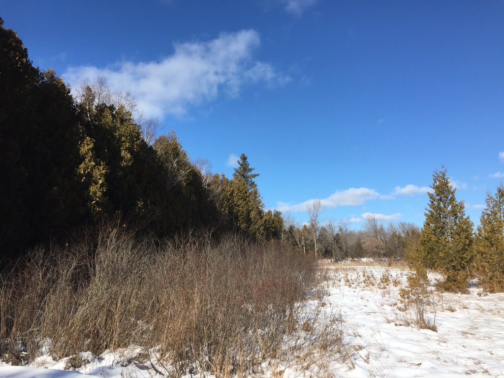 OntarioParks's tweet photo. A walk in the woods can alleviate mental fatigue. #HPHP #BellLetsTalk https://t.co/MkDhZd7sIG