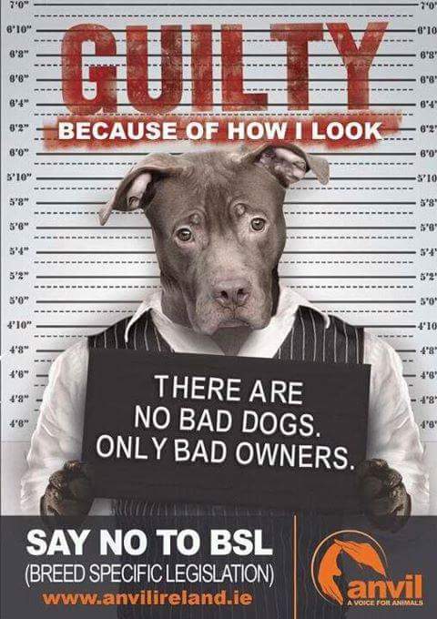 Blitz_grant's tweet photo. #dontgiveupthefight #teamblitz #endbsl https://t.co/oDgzxNVM12