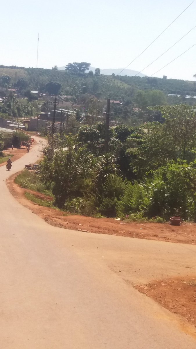 <a href="/SaigonCoffeeCo/">SaigonCoffeeCompany</a> hi ..coffee..bao loc ...