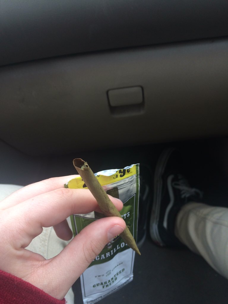 marzuccosauce's tweet photo. Found this on my way down from a hike 🙏🏼😛 #tywg #blunthunter https://t.co/Bra7c6wJUr