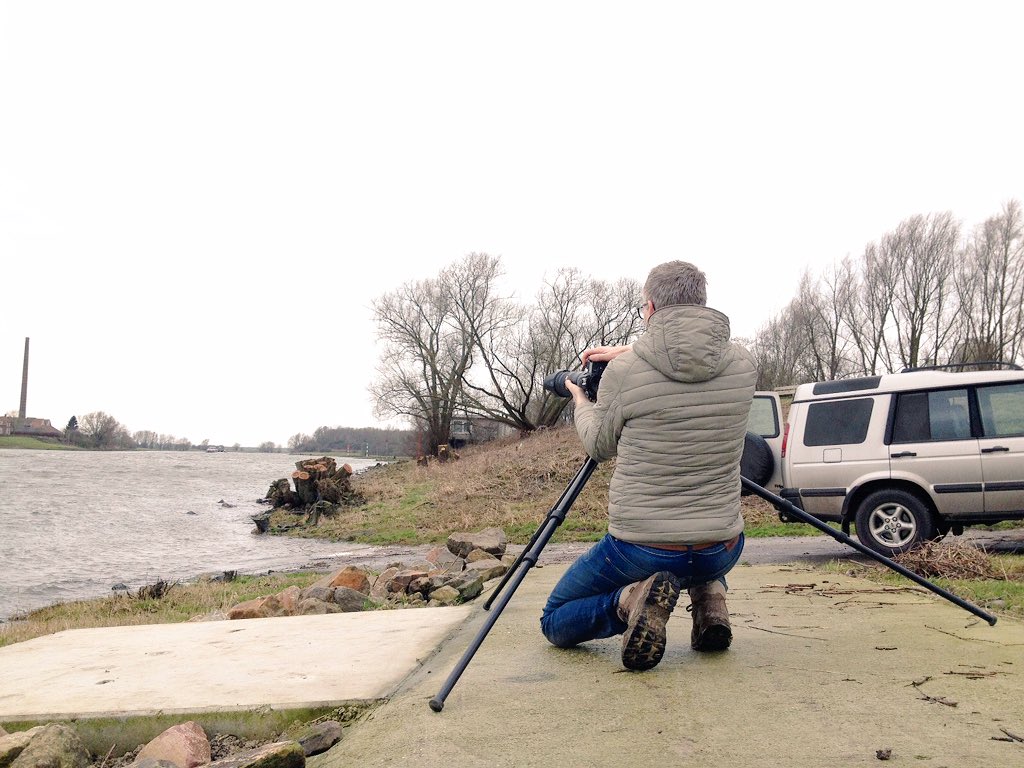 Ad Hofsink tweet media