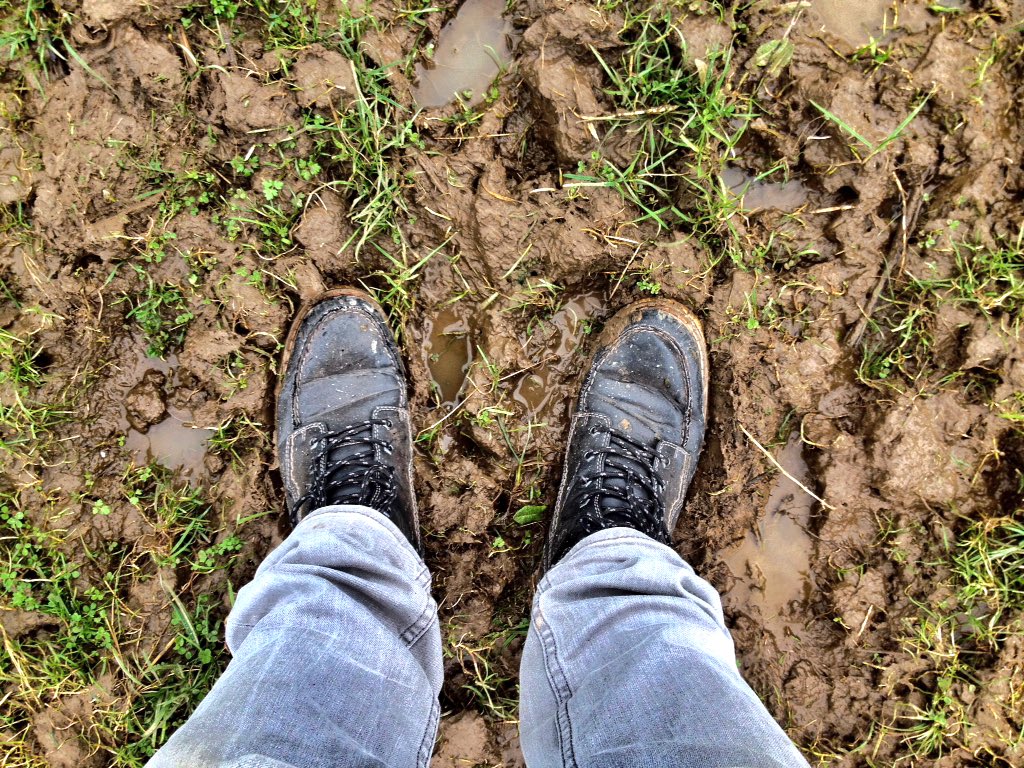 Ad Hofsink tweet media