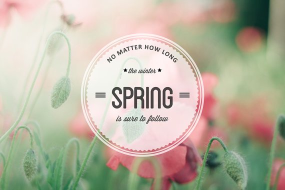 How is life without spring. Proverbs and sayings about summer. How is life without spring. How is life without spring. Spring proverbs.