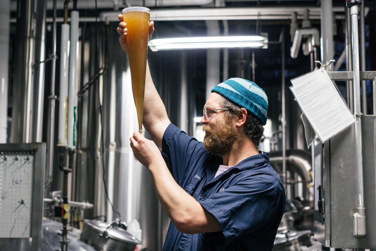 AllagashBrewing's tweet photo. Classic Branch shot. We are brewing Golden Brett today. #nailedit #imhoffcone #insideallagash https://t.co/d38jStYFBs