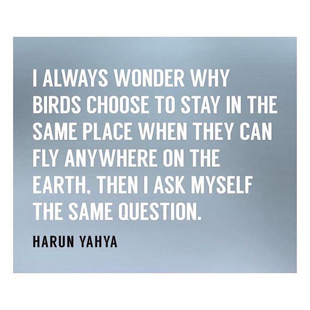 Great question to ask yourself #digitalnomad #travel