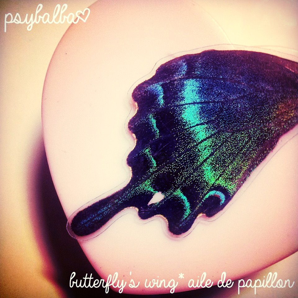 psybalba's tweet image. [NEW]
butterfly's wing * aile de papillon bientôt dans vos plugs #plugs #handmade #customplug #psybalba #butterfly