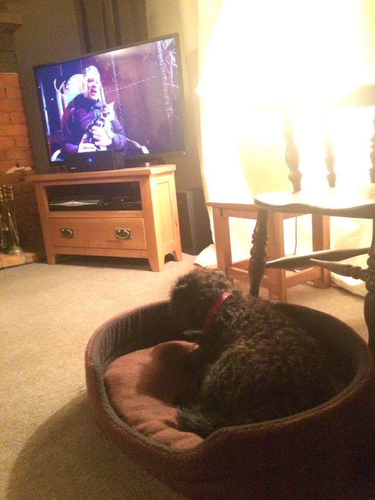 I love Chris Packham but my owner prefers a bit of Michaela. I also like smelling cat shite #Winterwatch
