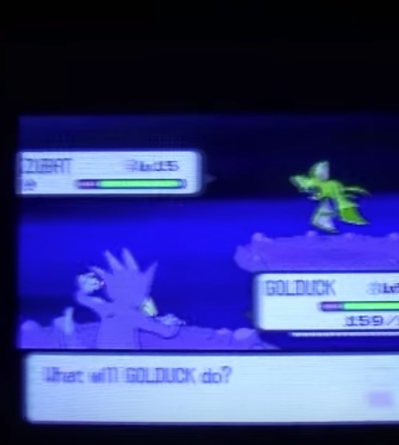 Mr.Marowak (@MMarowak) / Posts / X