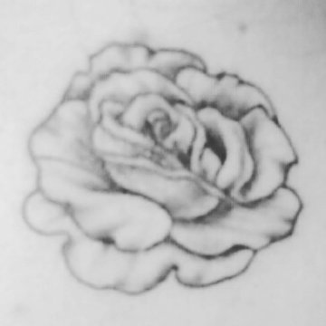 DEHAME4's tweet photo. Une maman est semblable à une rose qui ne fane jamais. #tatouage https://t.co/zqjIUsHYaj