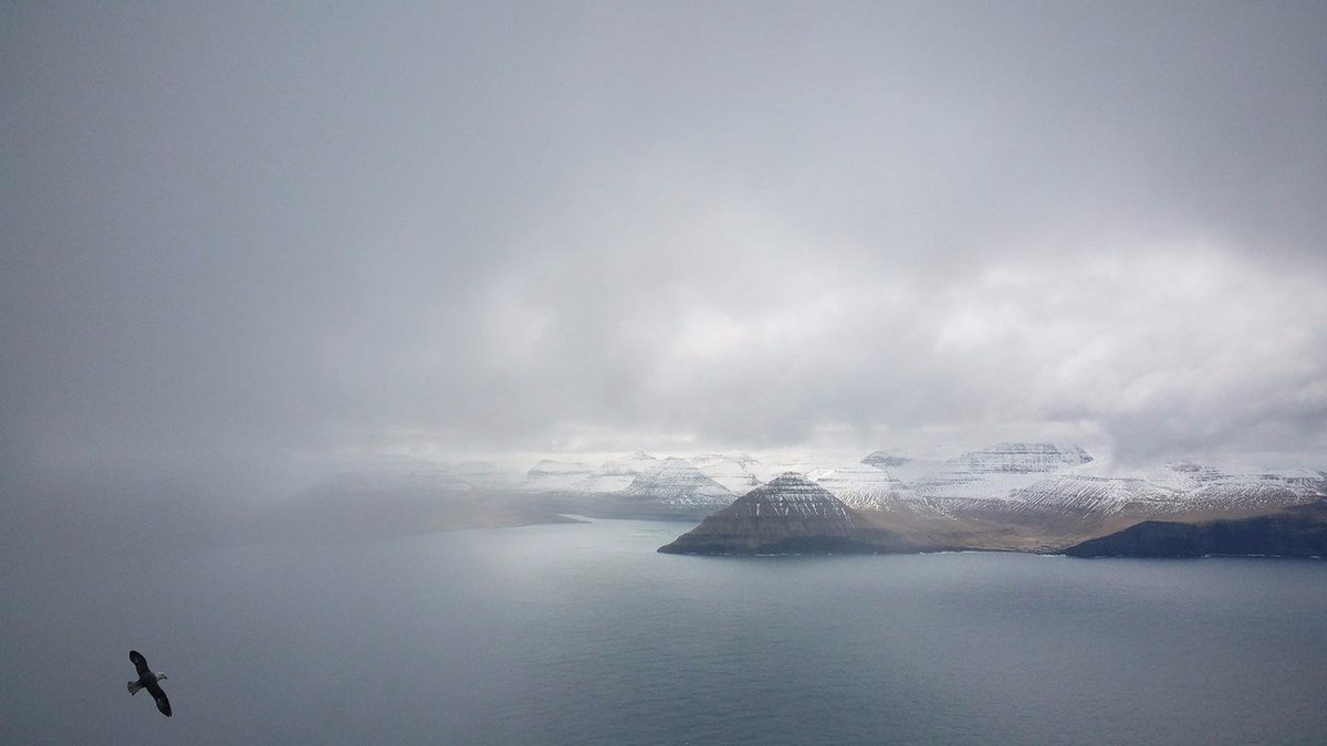 TripAtom's tweet photo. Between 1035 and 1814, the Faroe Islands were part of the Kingdom of Norway)
#tripAtom #Denmark #FaroeIslands https://t.co/E7m1kFgmqY