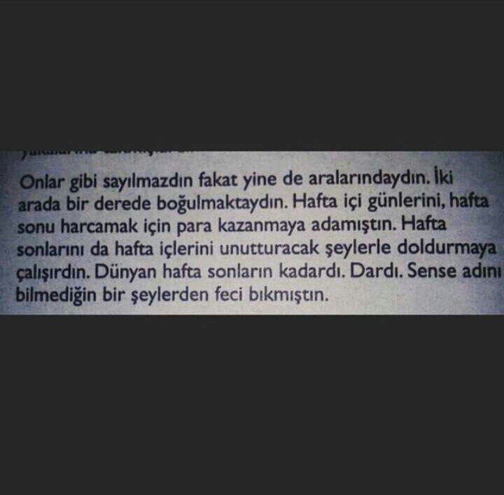 Naci Çelik (@ncclkk) on Twitter photo 