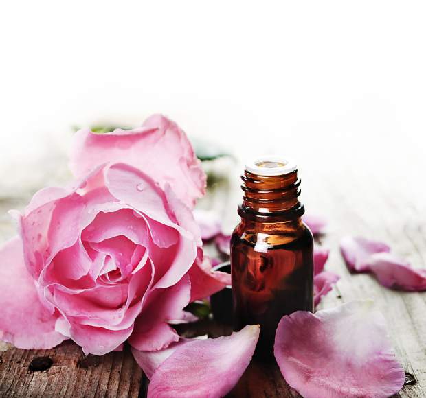 IgniteyogaAZ's tweet photo. 1 bottle of RoseOtto Oil has thousands of rose petals!! Only 20 bottles of this rare oil will be available for sale! https://t.co/c8LQ9fX0ju