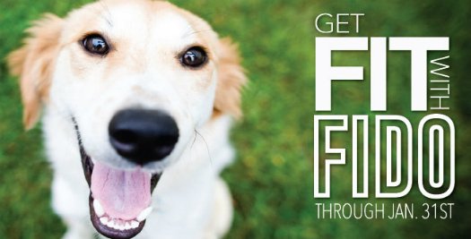 HSNT1's tweet photo. Don't miss your chance to get #FitWithFido! Adopt any dog over 30lbs @HSNT1 for only $20 until the end of January! https://t.co/TcdH5r96mN