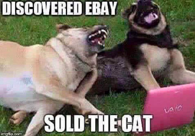 needsig's tweet image. 