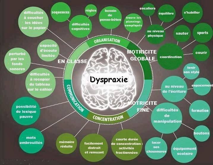 mypsychomot's tweet photo. Les #dys : #troubles traités en #psychomotricité
#neurologique #rééducation #apprentissage #psychologie #motricité https://t.co/01D33VfFd5