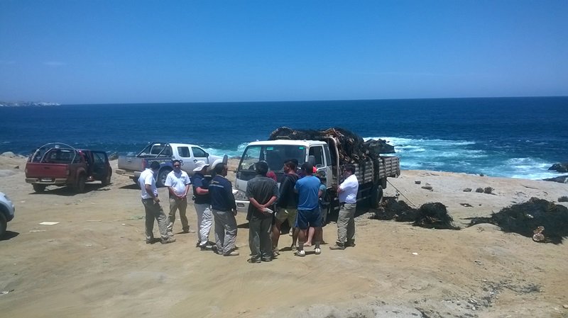 MMAAtacama's tweet photo. Junto a comisión conjunta realizamos 2° fiscalización en Área Marina Costera Protegida de MU, Isla Grande de Atacama https://t.co/gy1YvPPS1C