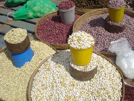 ASA_CSSA_SSSA's tweet photo. 396 beans + 5 regions + #cropscientists = unleashed potential. #IYP2016 @USDA_ARS Read: https://t.co/2XNFRcqbX3 https://t.co/1XOJdx7IJA