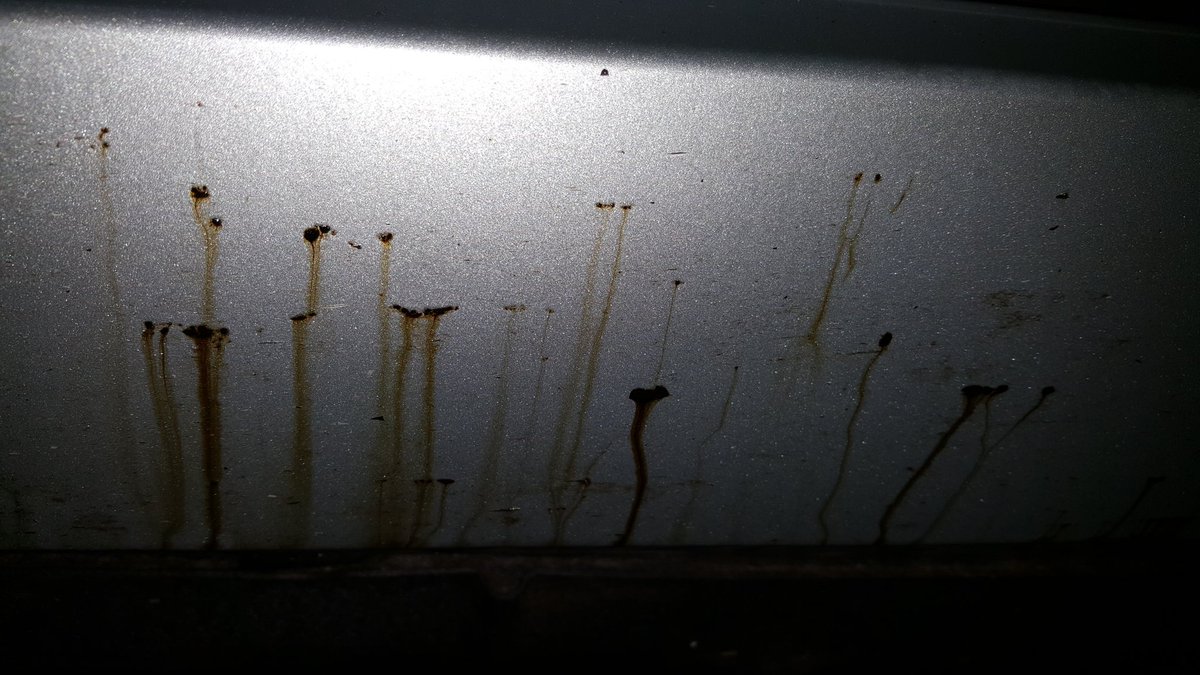 #mercedes exterior protection carried out today
#mobile #valeting #detailing #bournemouth  #christchurch #newmilton