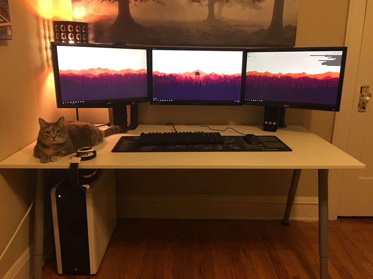 Newegg's tweet image. Nice, clean battlestation also works as cat lounge. 💻🐱 #RigGoals 

Setup by @reddit user KingSnake91